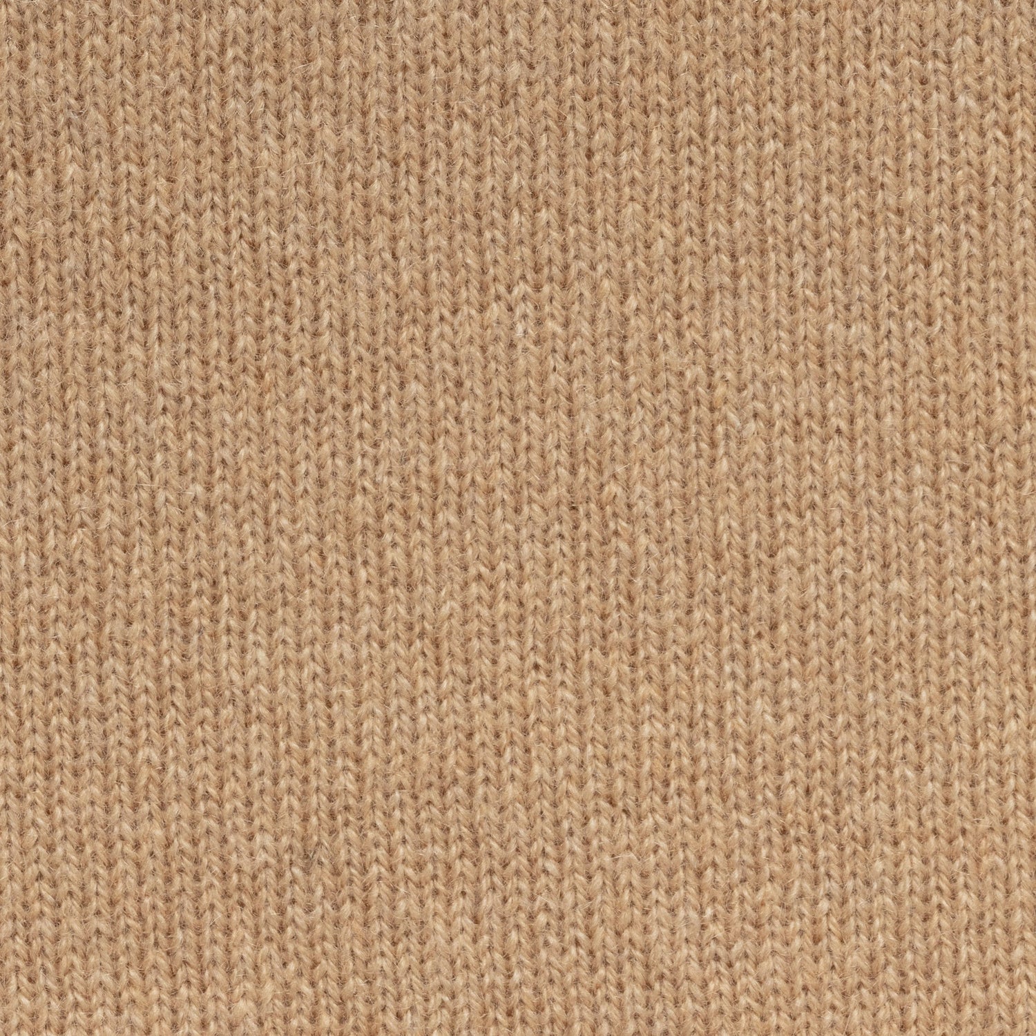 Camel Cashmere