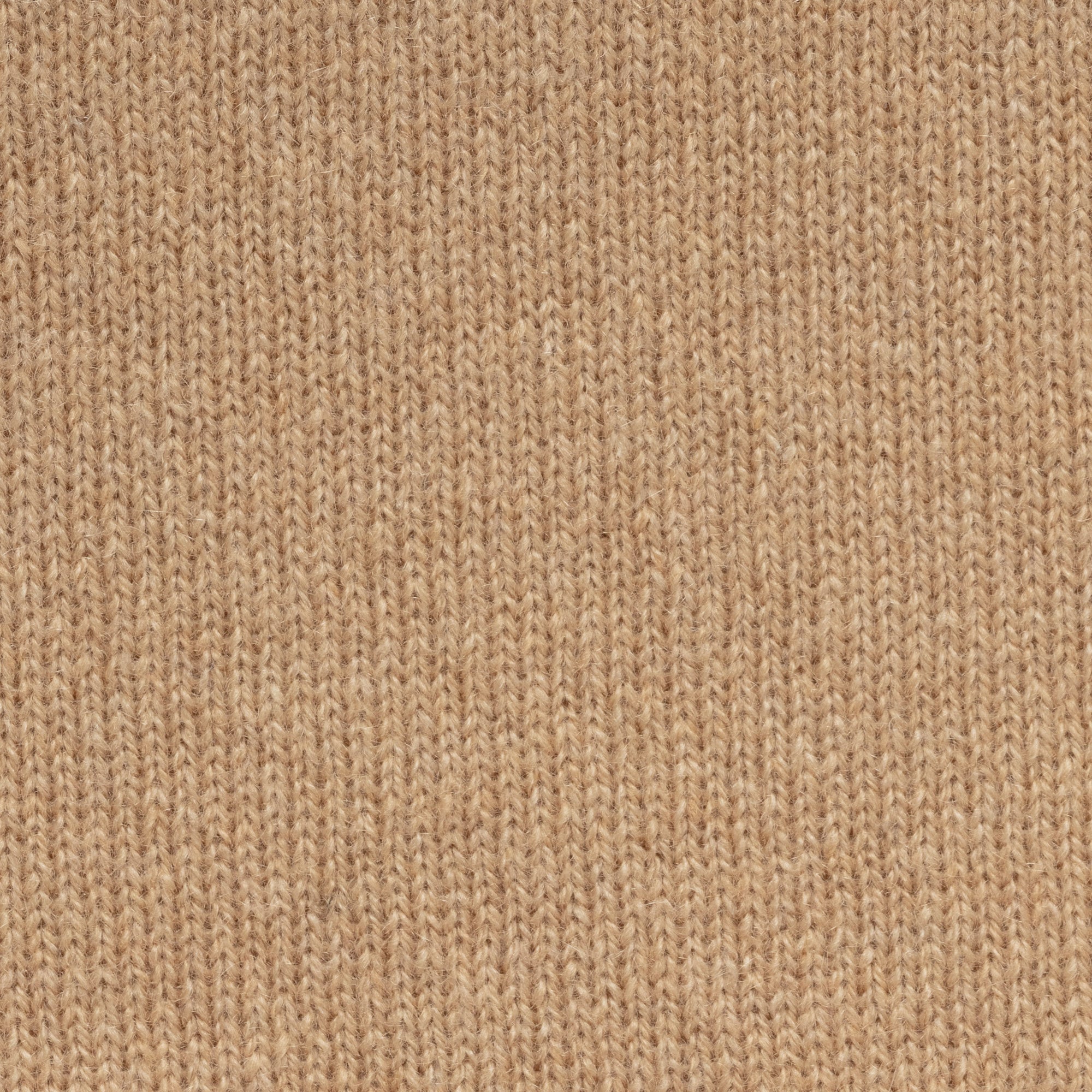 Camel Cashmere